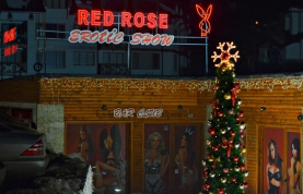 This is Red Rose 's logo