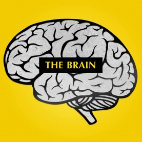 This is The Brain's logo