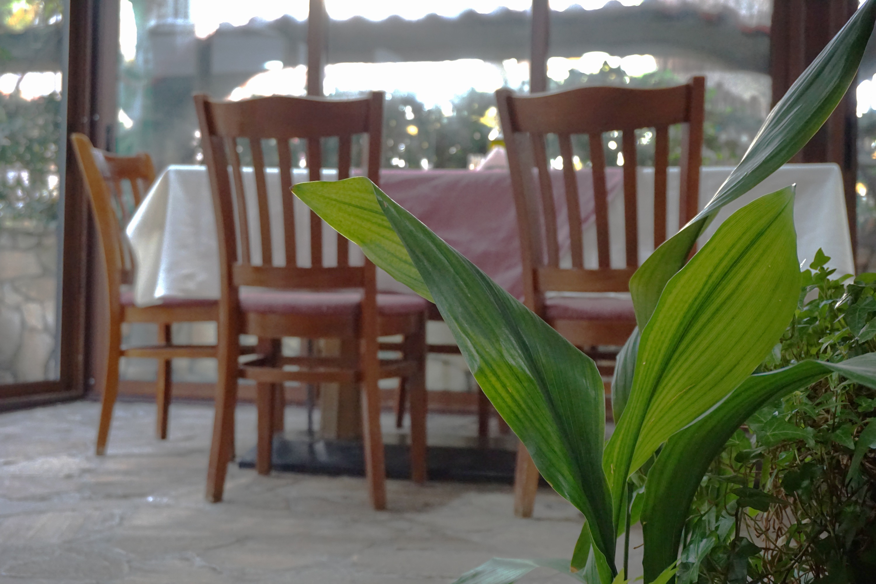 ΠΠ»Π°Π²Π½Π° Π³Π°Π»Π΅ΡΠΈΡ