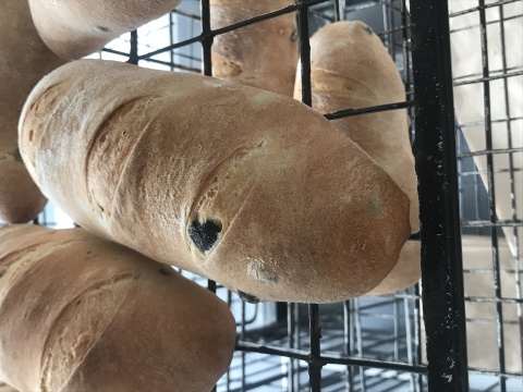 Маслинов хляб