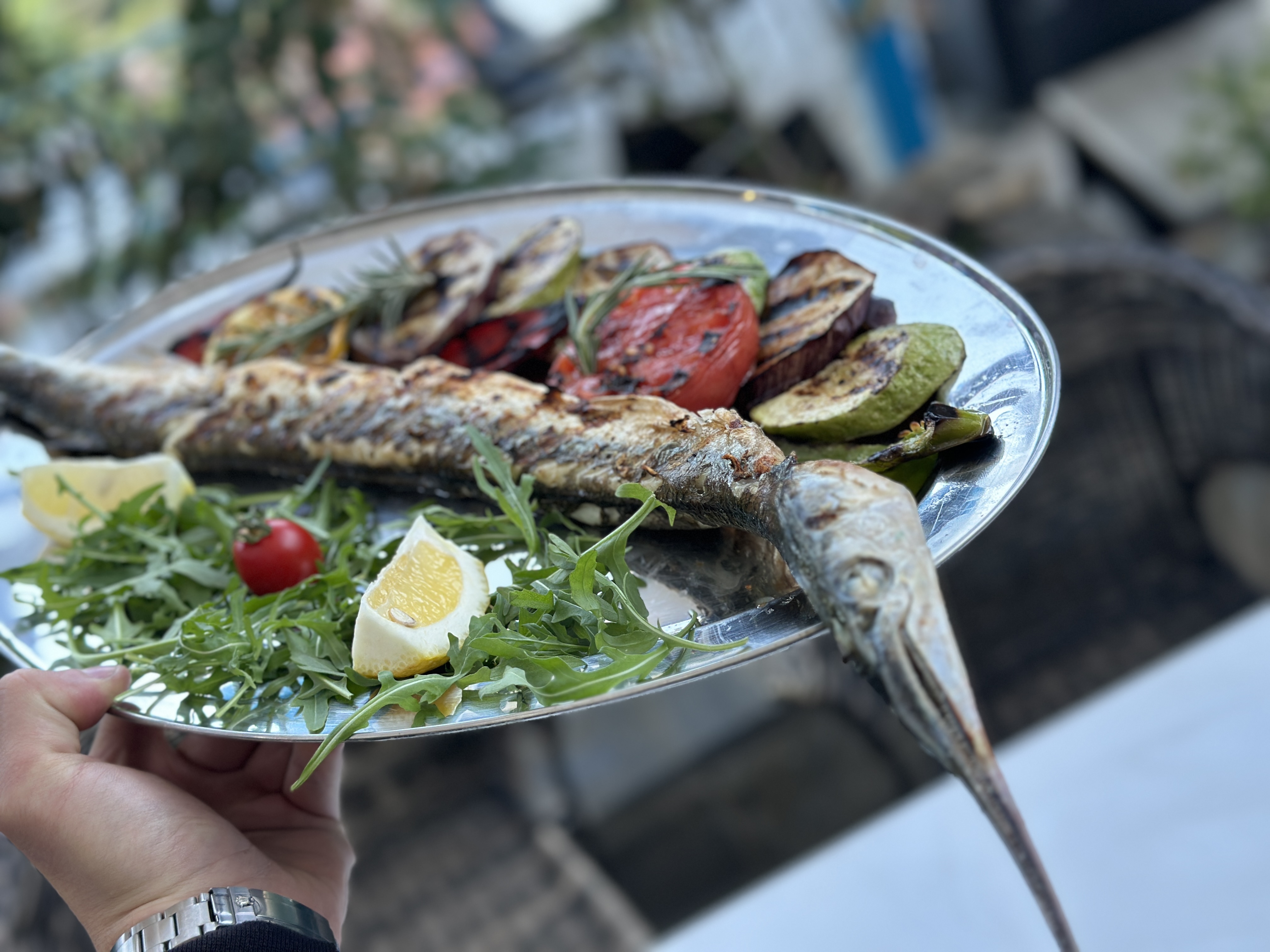 Главна галерия