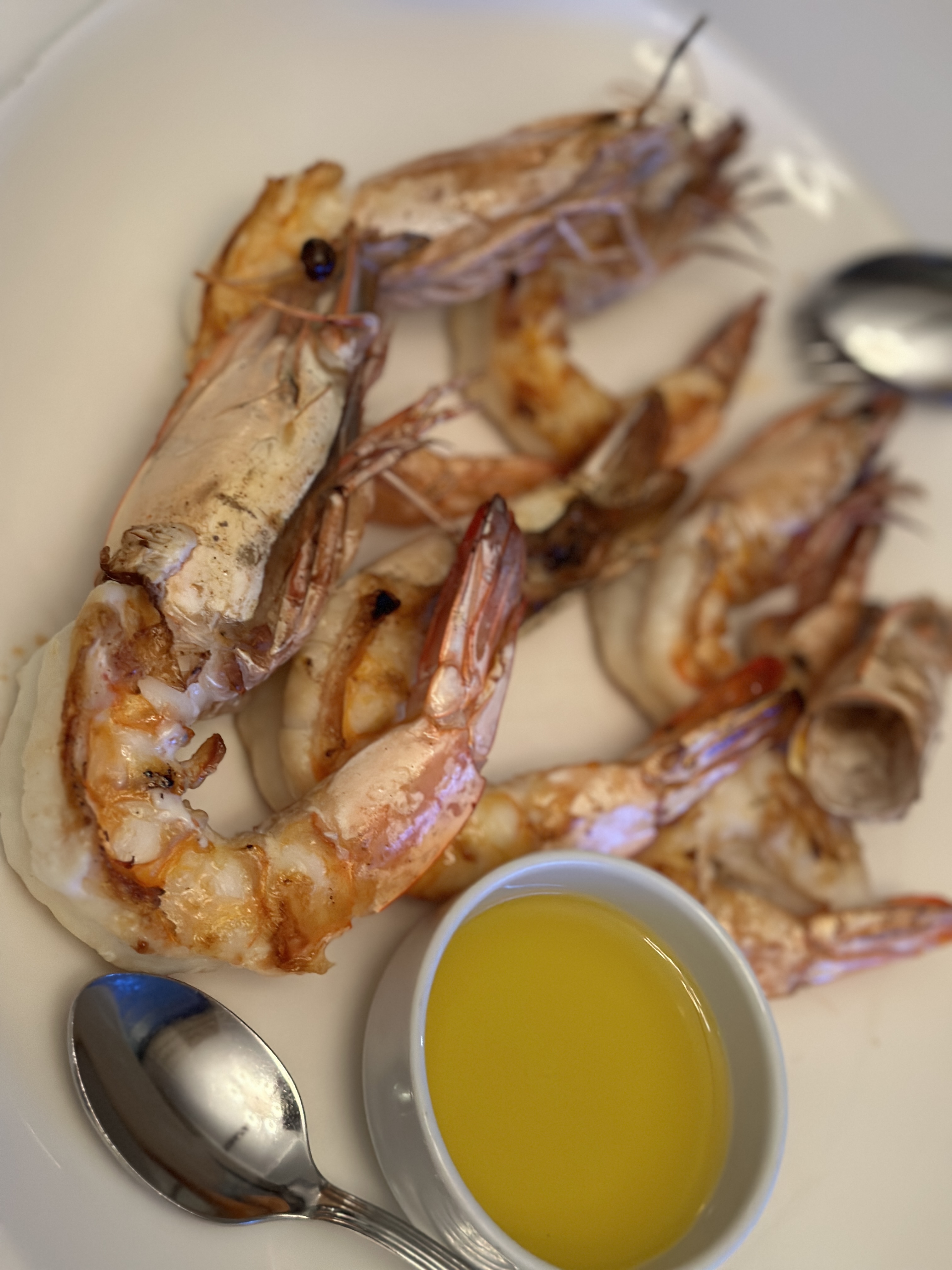 Главна галерия