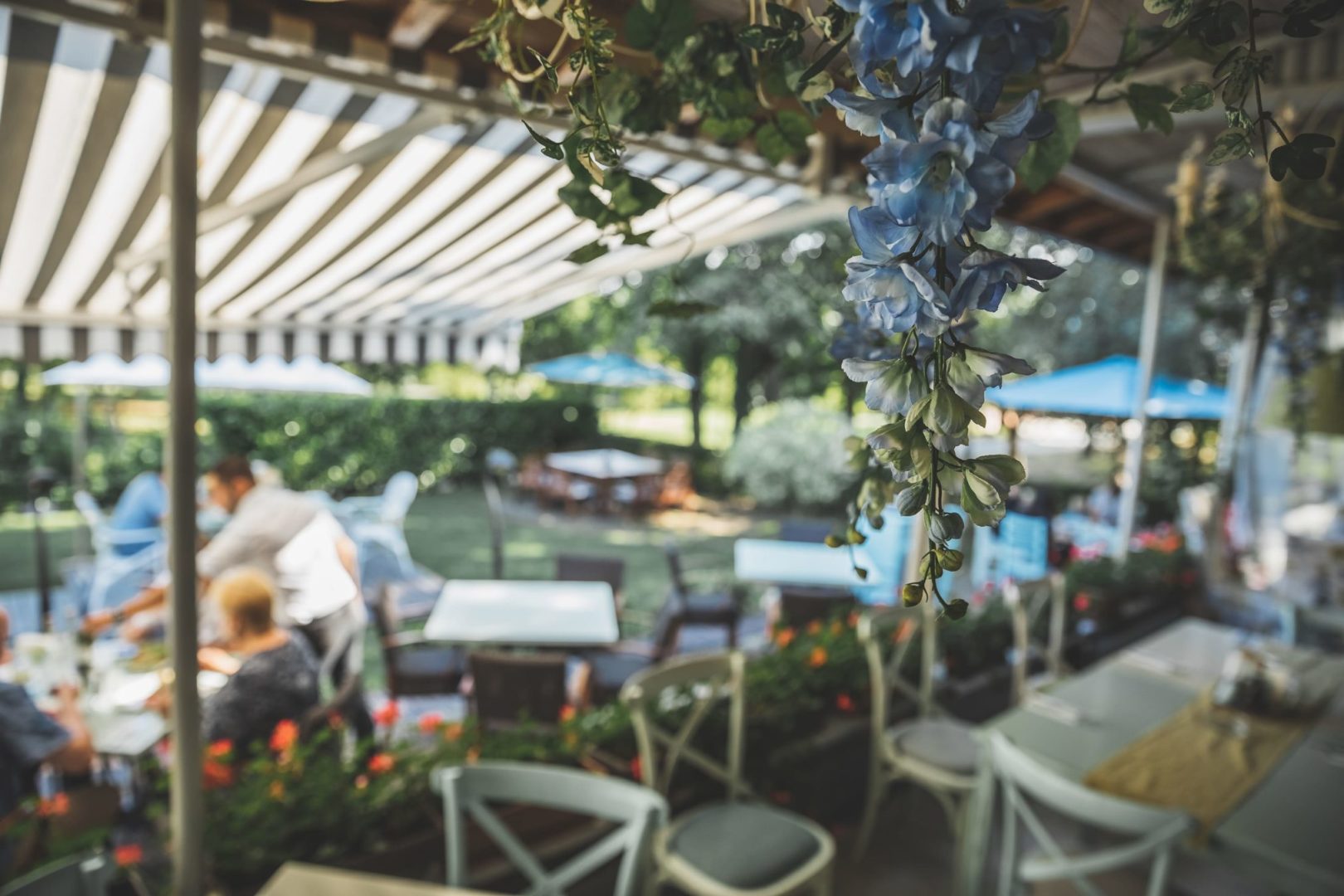 Главна галерия