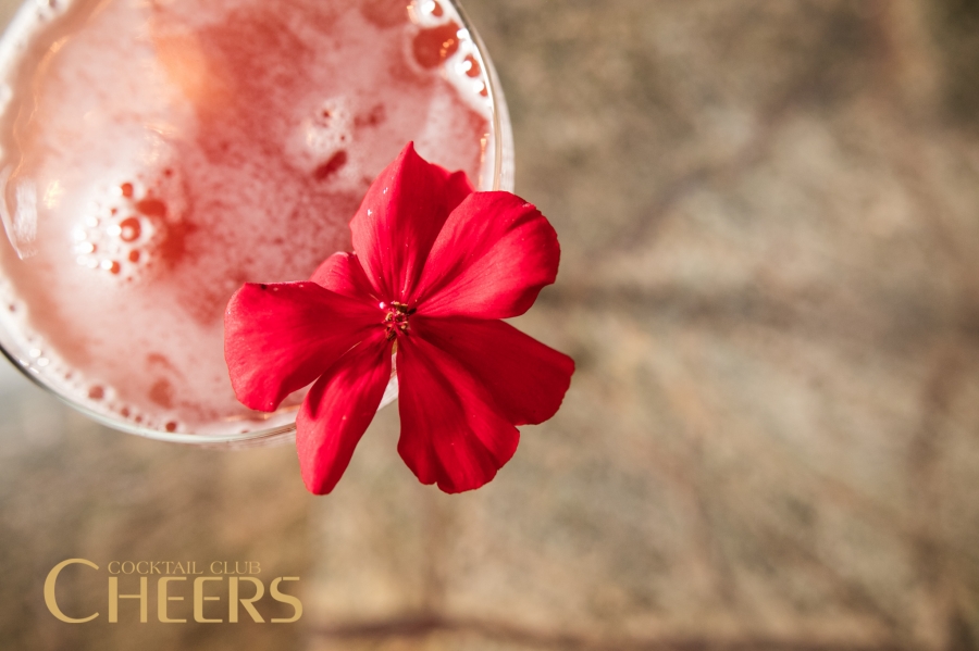 Cocktail Night 24.10