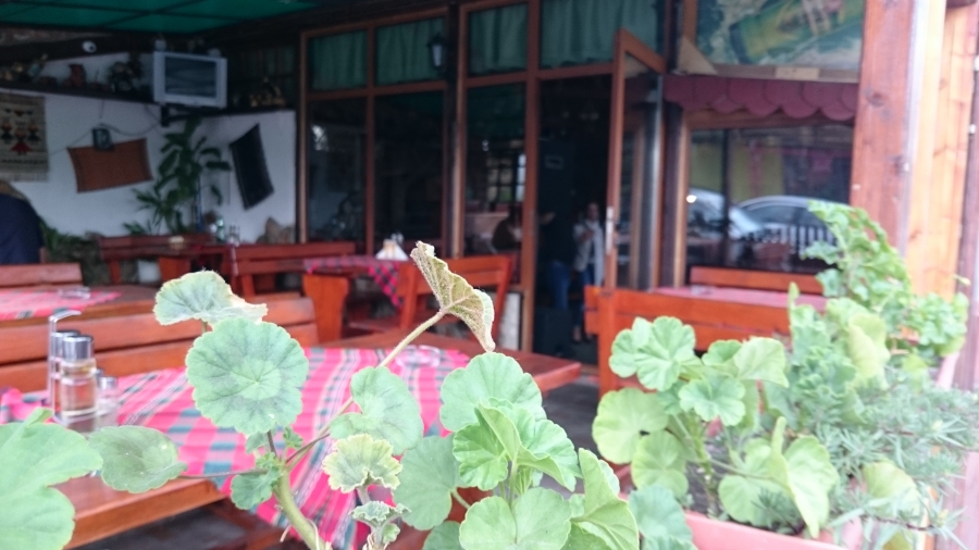 Лятна Градина 2015