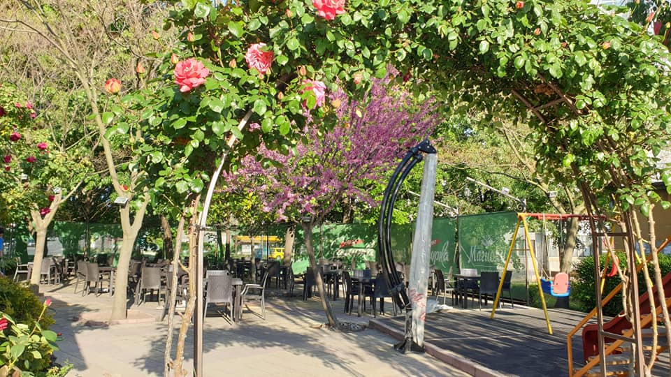 Главна галерия