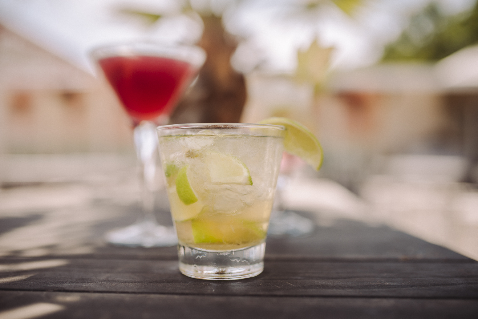 Главна галерия