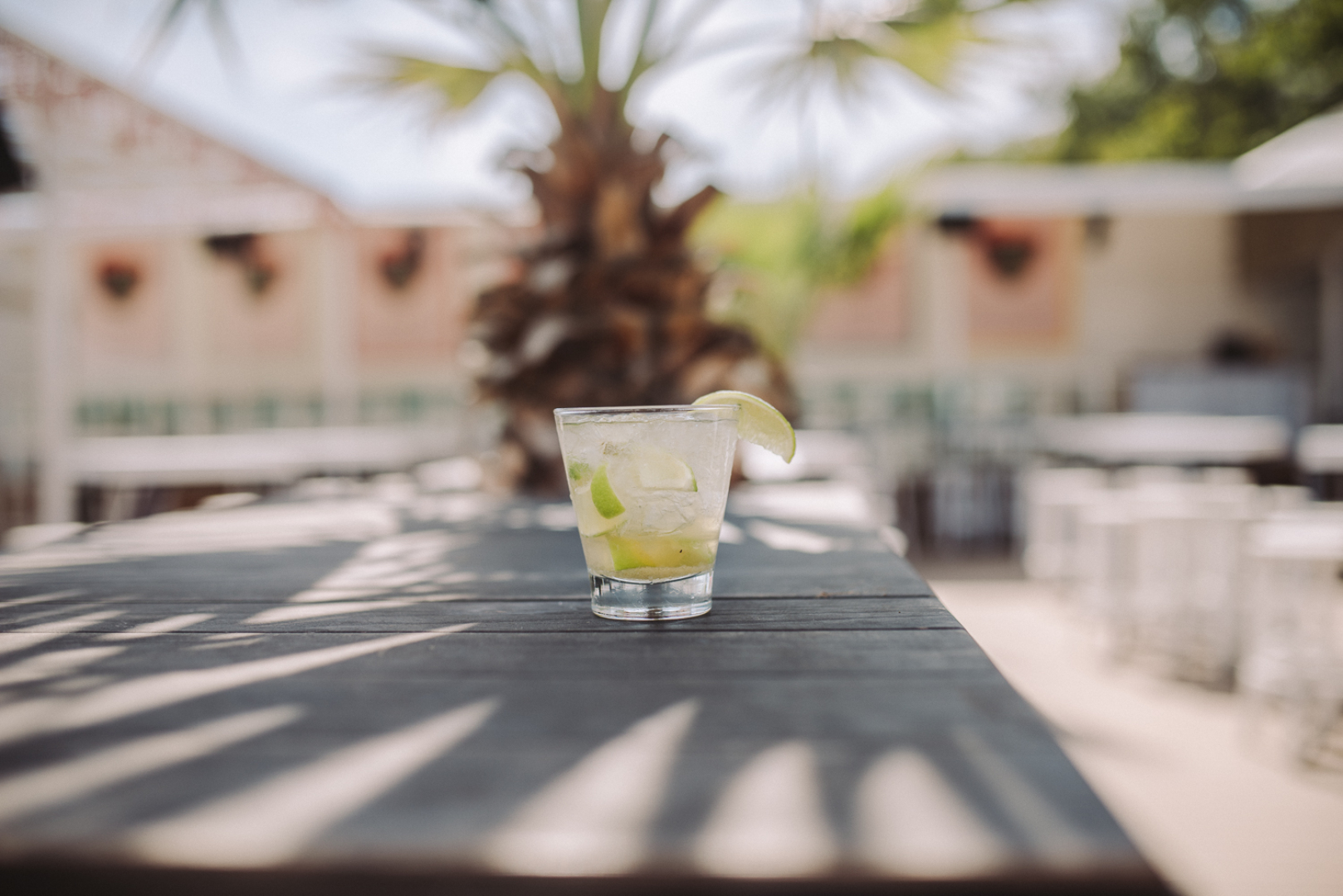 Главна галерия