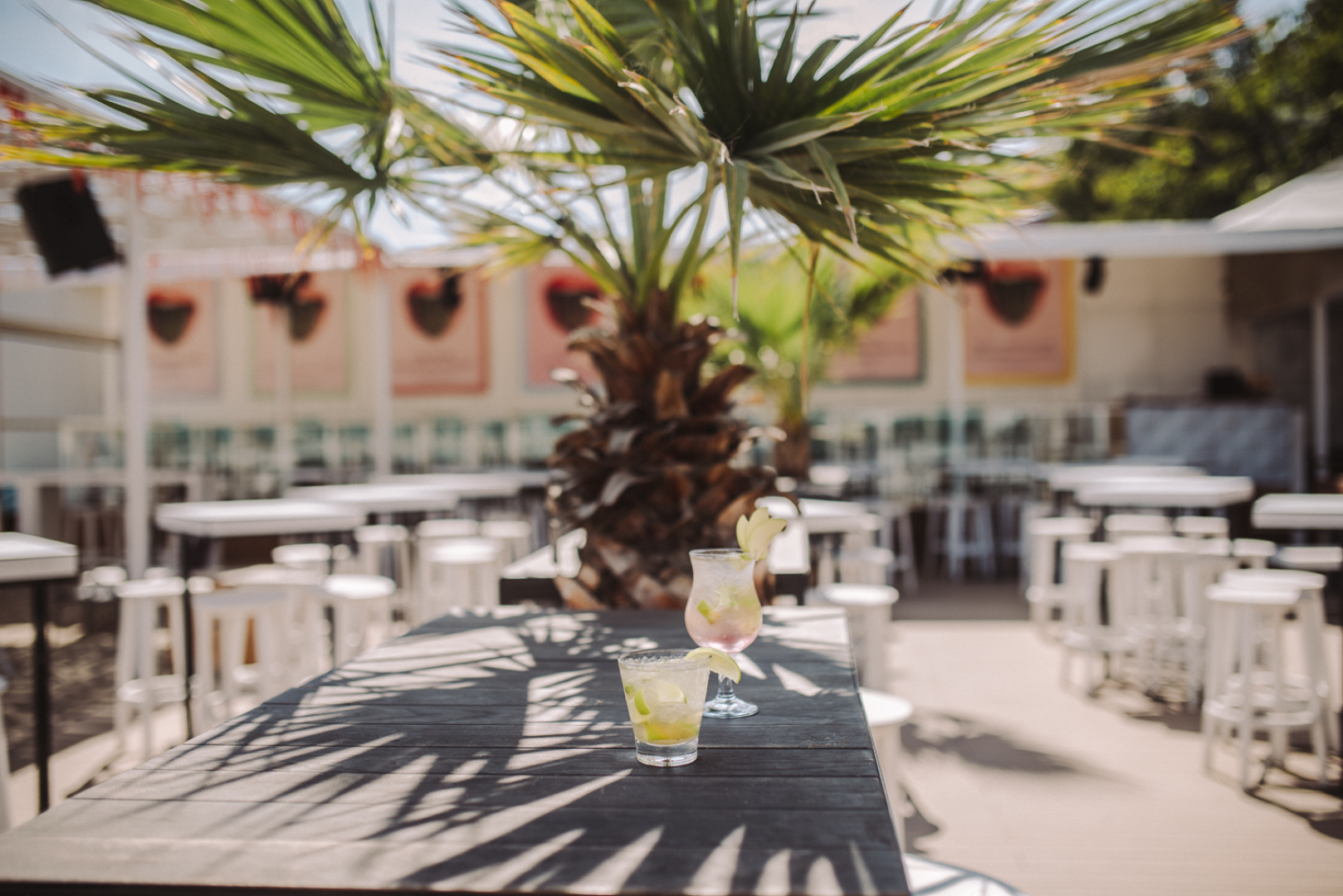 Главна галерия