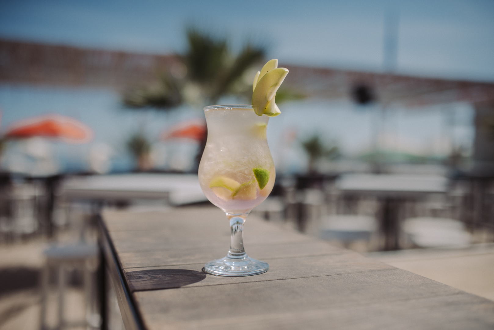 Главна галерия