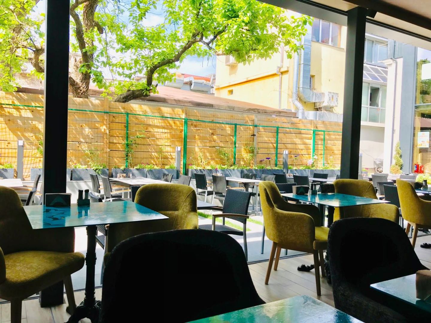 Годзила Княз Борис - Лятна Градина 2019