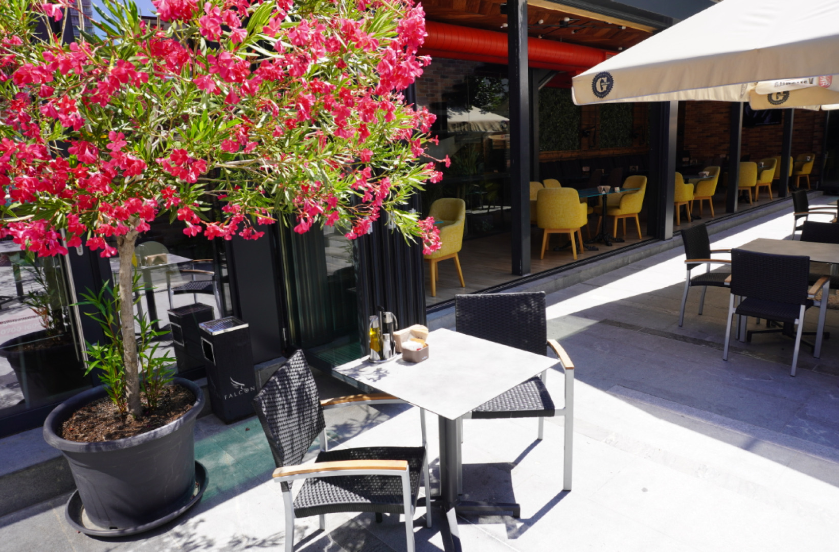 Годзила Княз Борис - Лятна Градина 2021