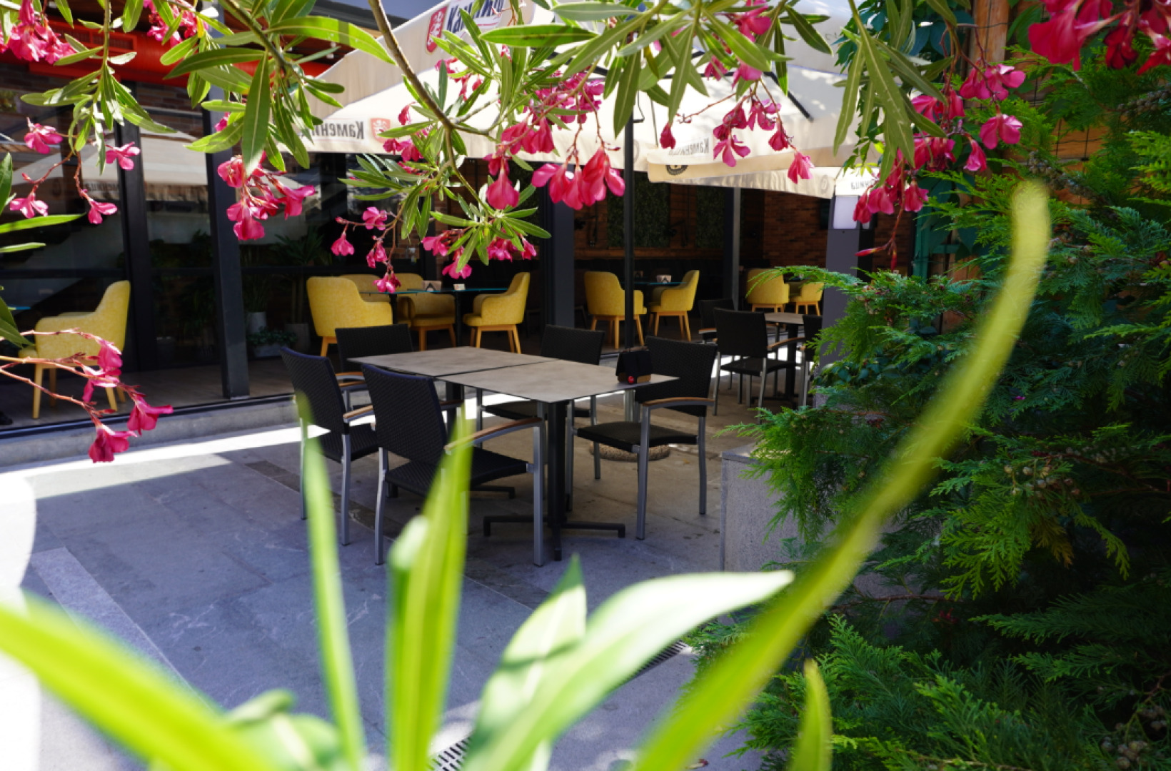 Годзила Княз Борис - Лятна Градина 2021