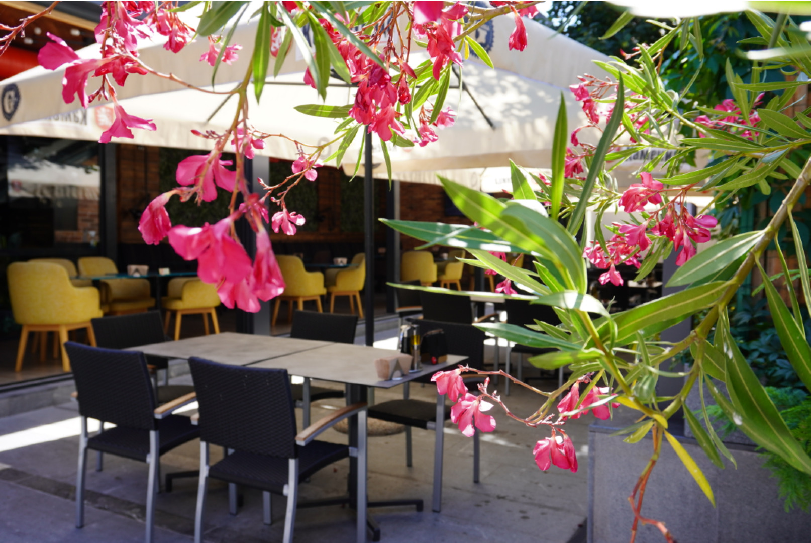 Годзила Княз Борис - Лятна Градина 2021