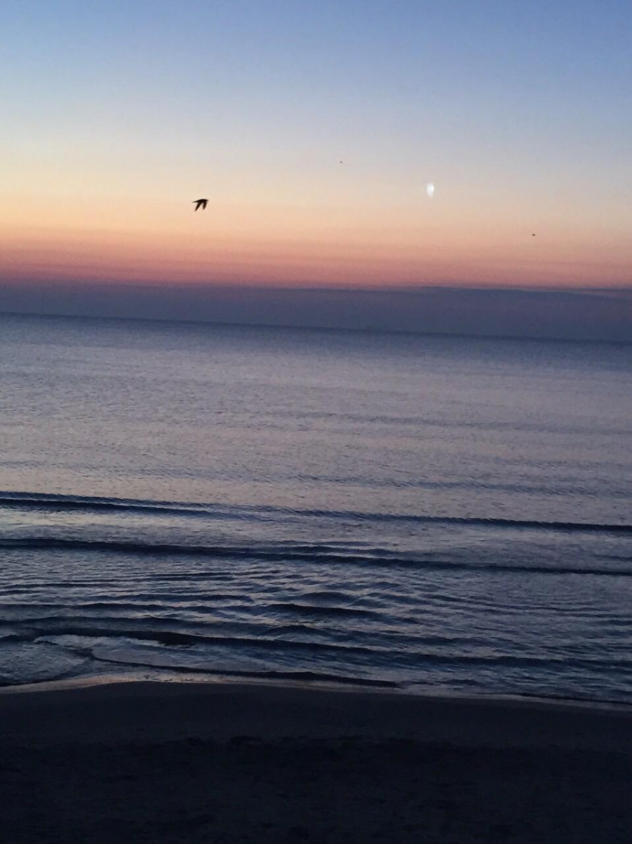 Ресторант на плажа - Рибарска Шатра!