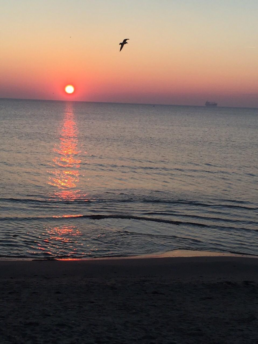 Ресторант на плажа - Рибарска Шатра!