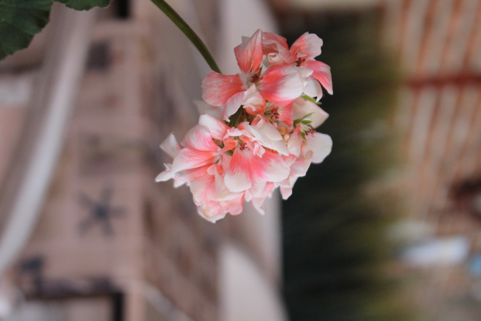 Лято 2019 посрещаме с нов интериор!