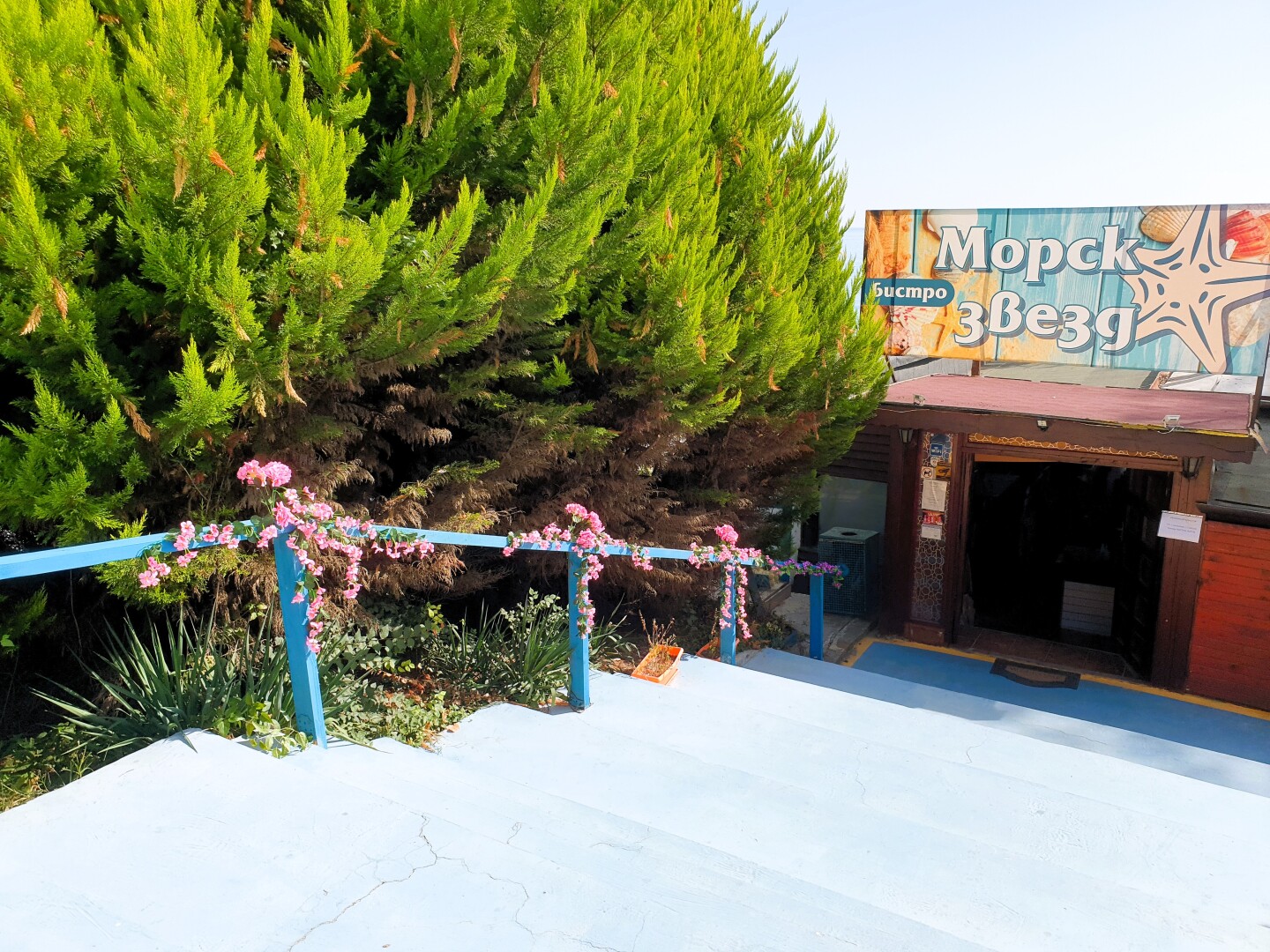 Абитуриентски  май 2023