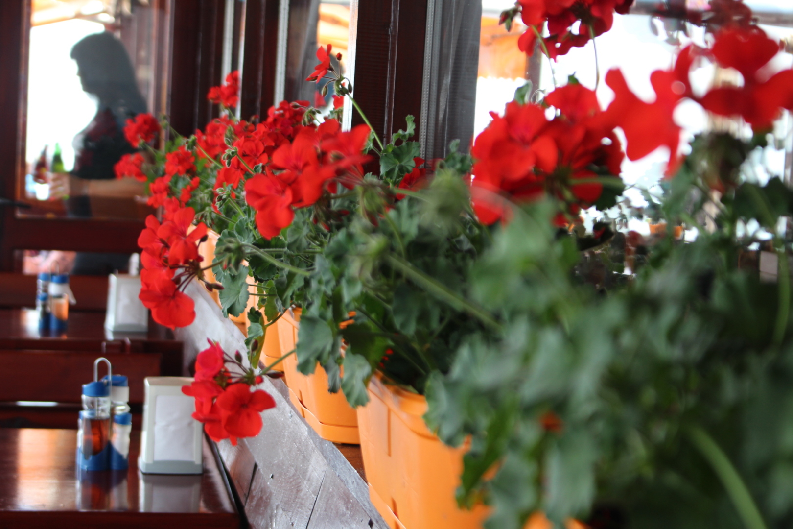 Лято 2019 посрещаме с нов интериор!