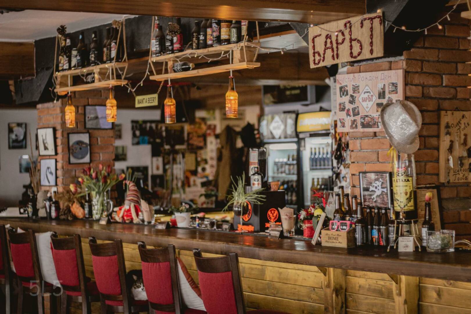 Главна галерия