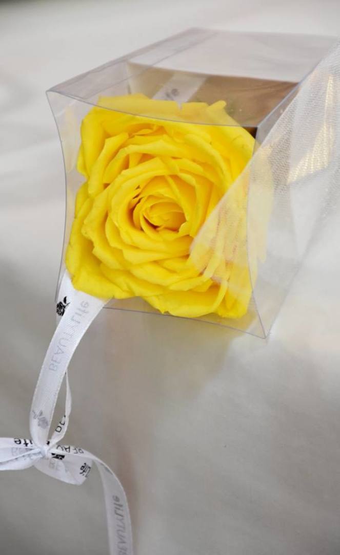 Главна галерия