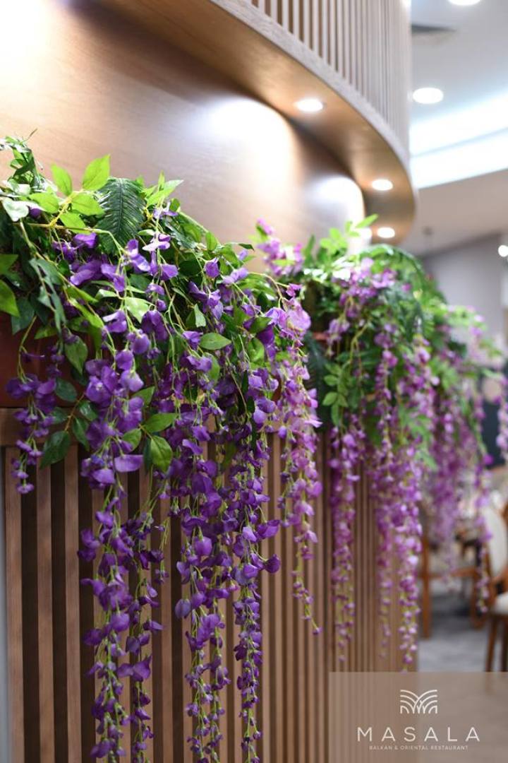 GRAND Opening | Masala Balkan & Oriental Restauran