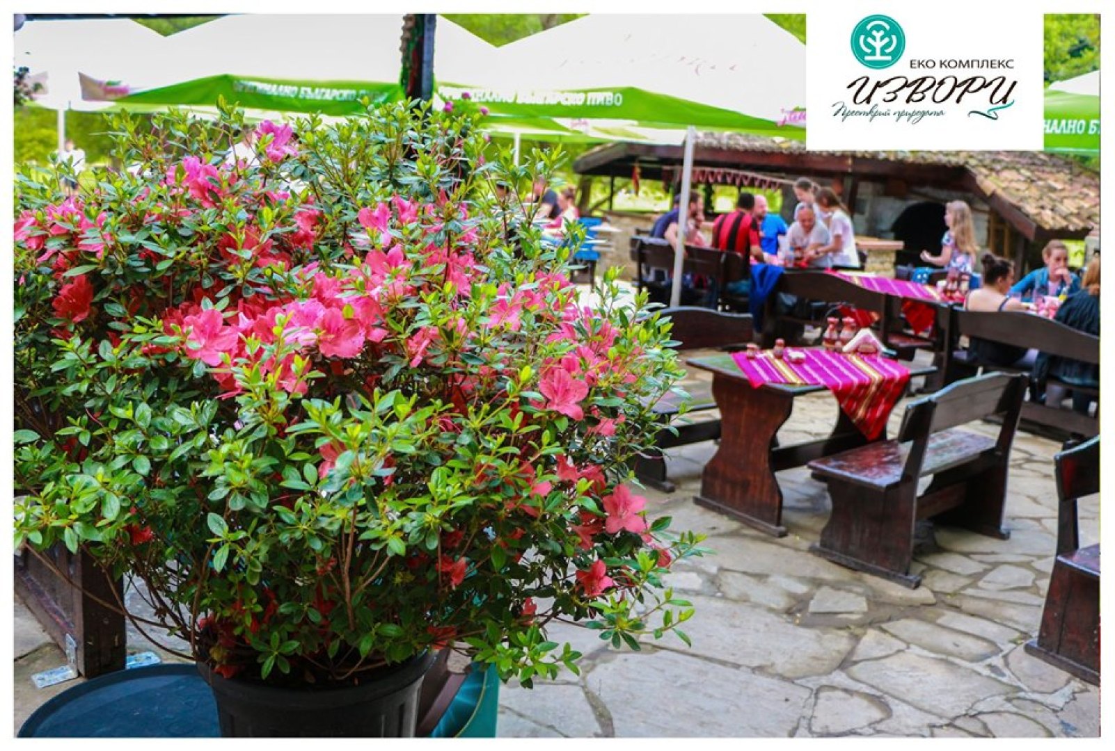 Главна галерия