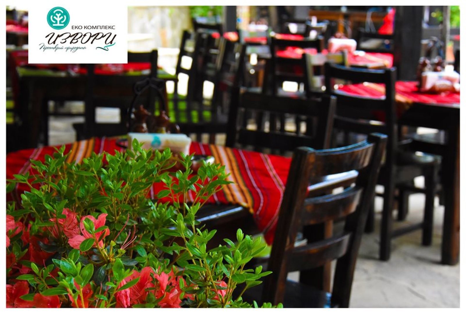 Главна галерия