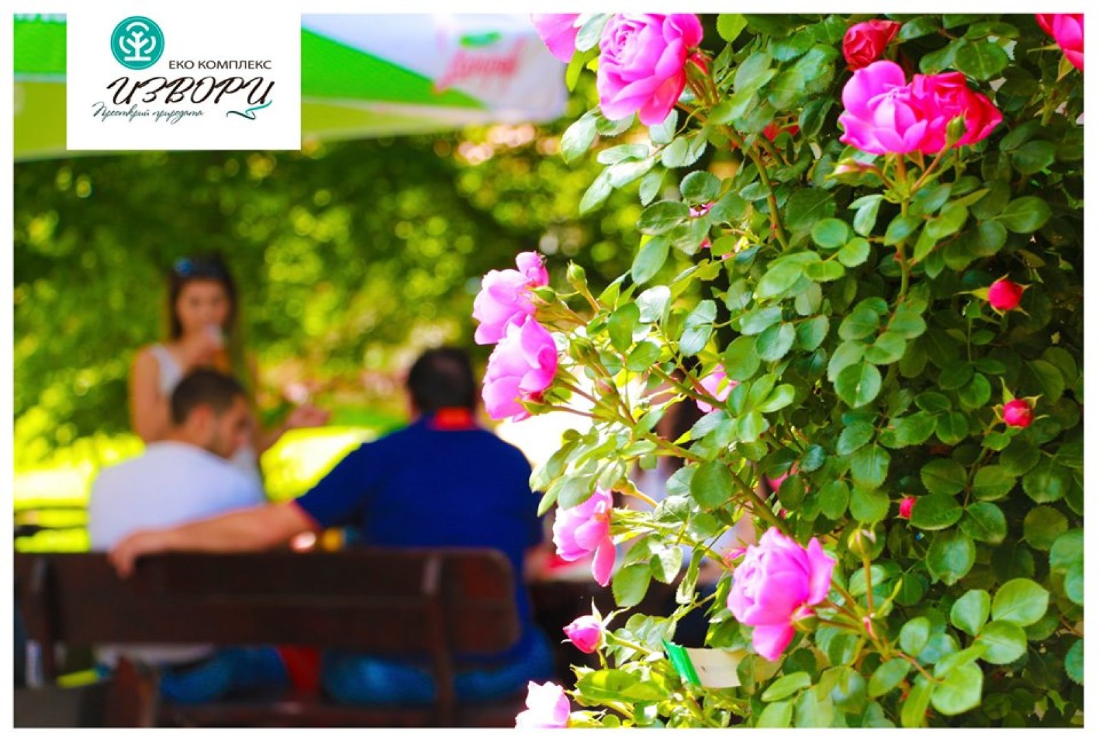 Главна галерия