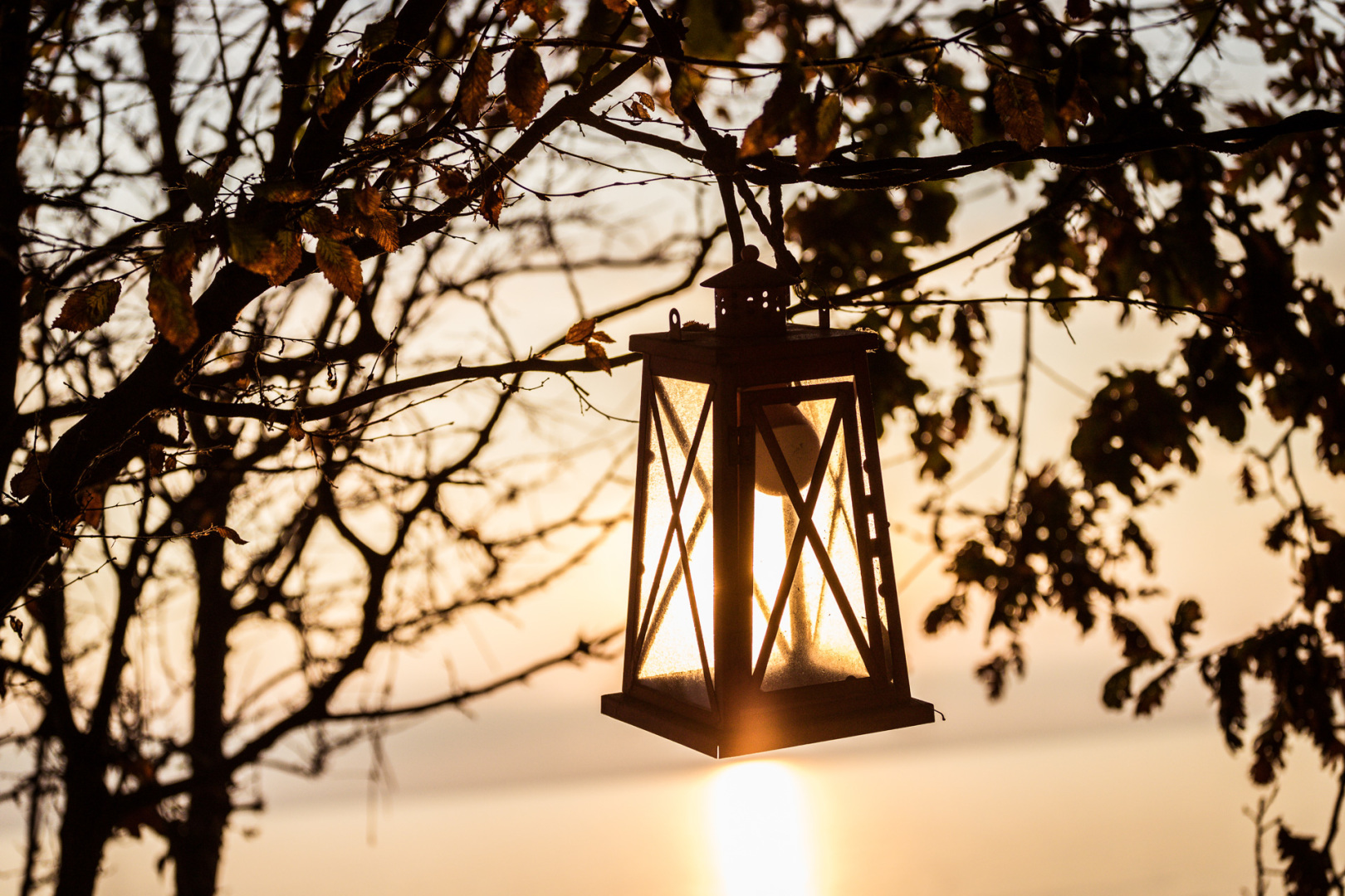 Главна галерия