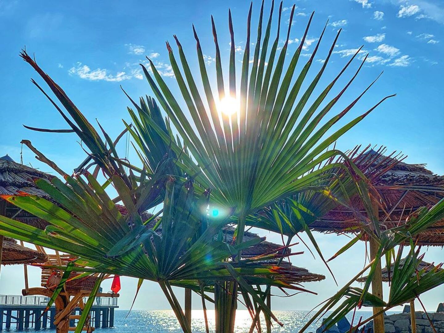 Главна галерия