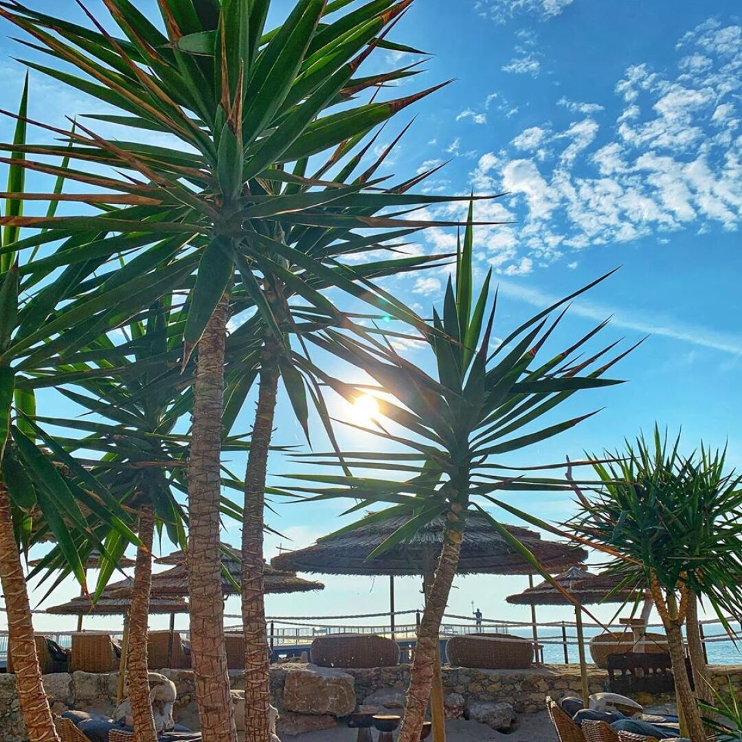 Главна галерия