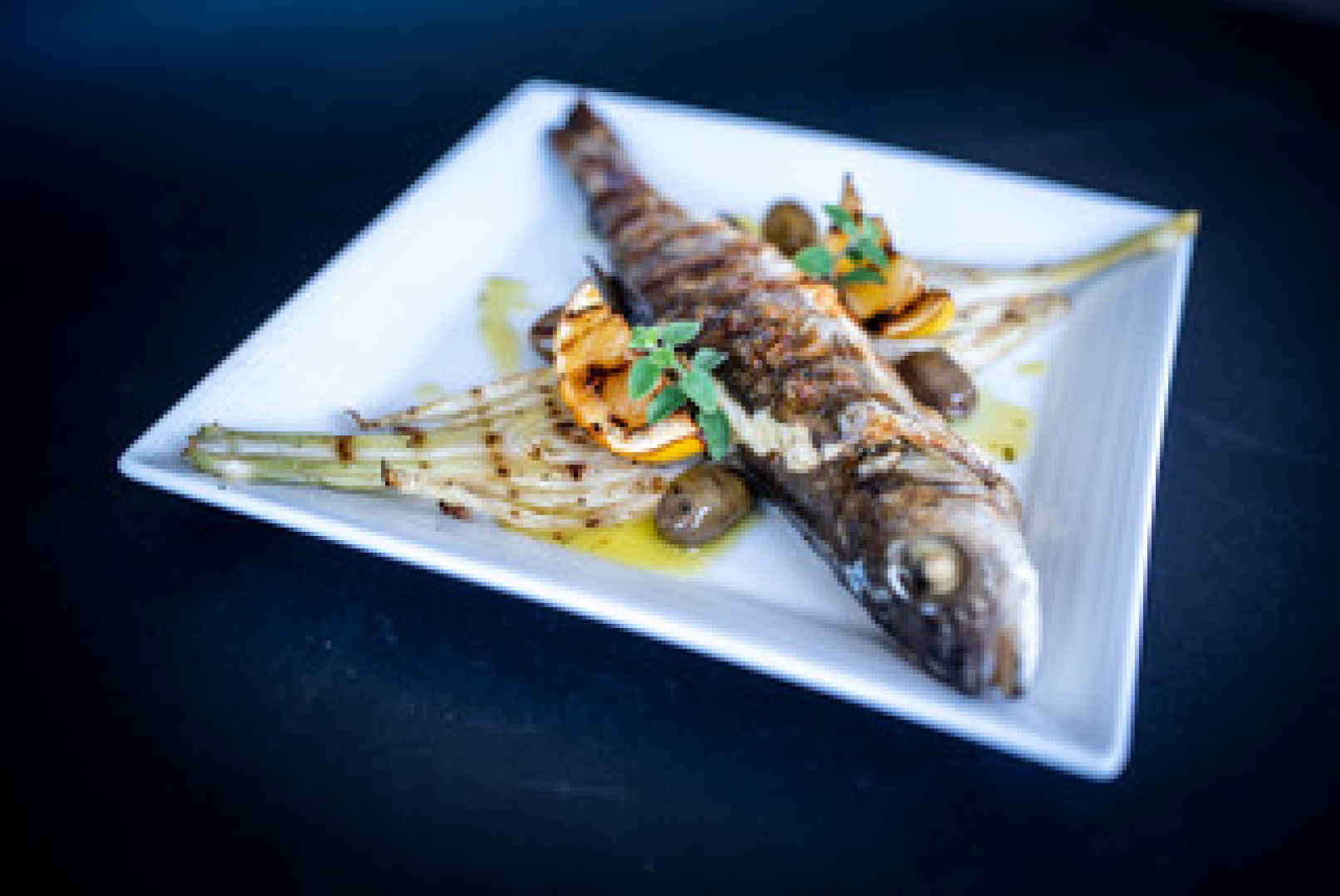 Главна галерия