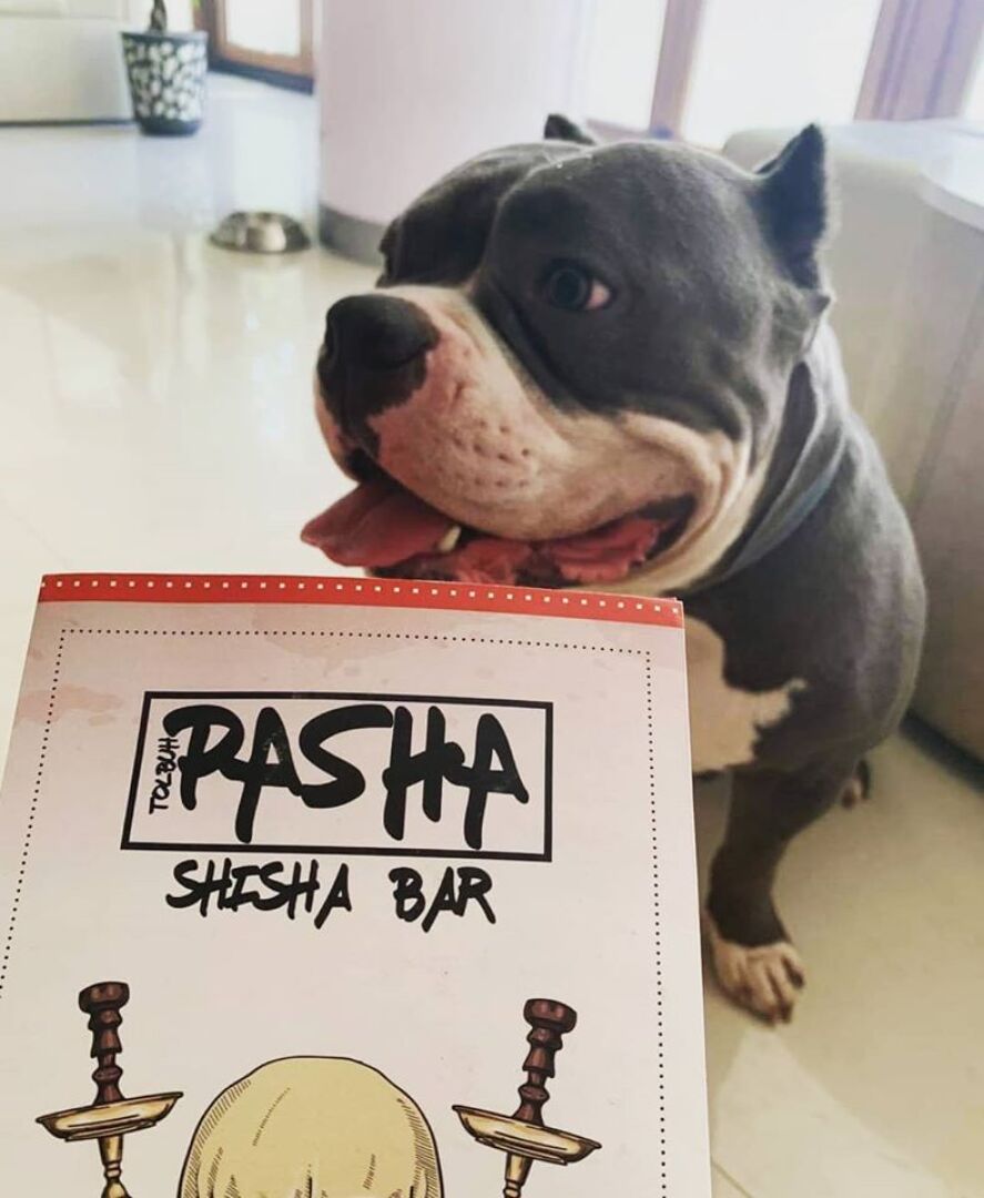 Главна галерия