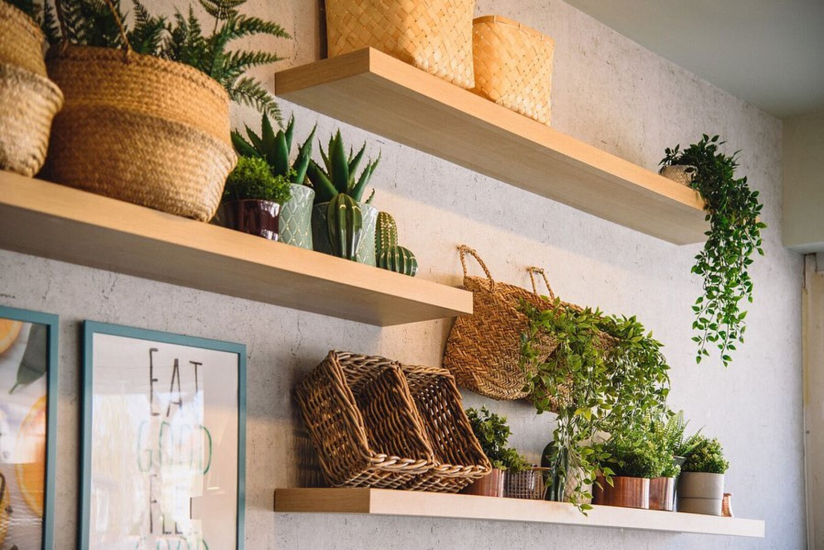 Главна галерия