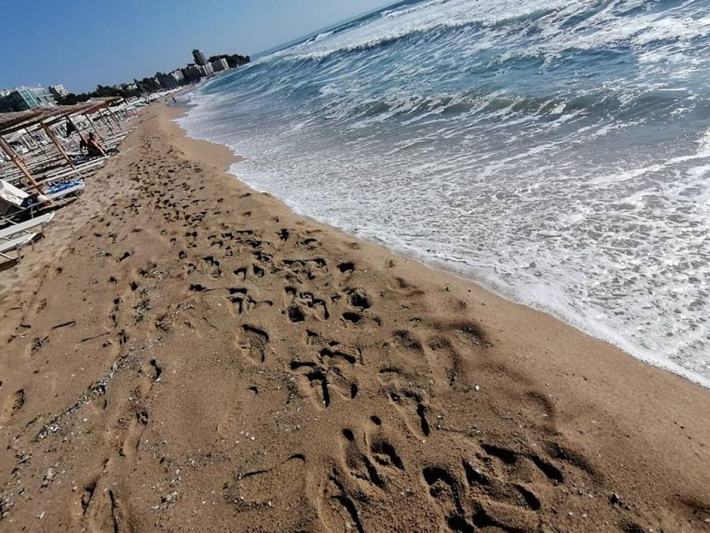 Главна галерия