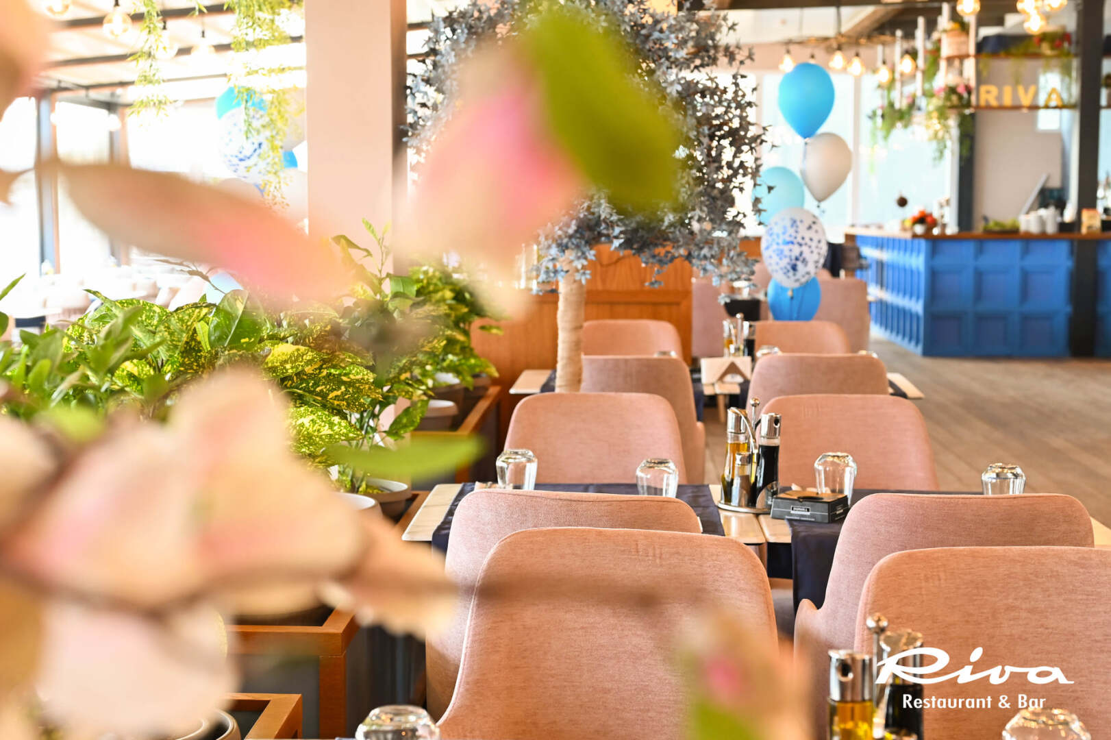 Главна галерия