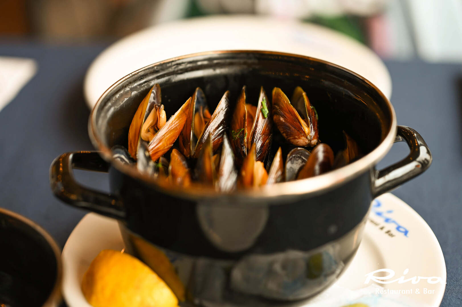 Главна галерия