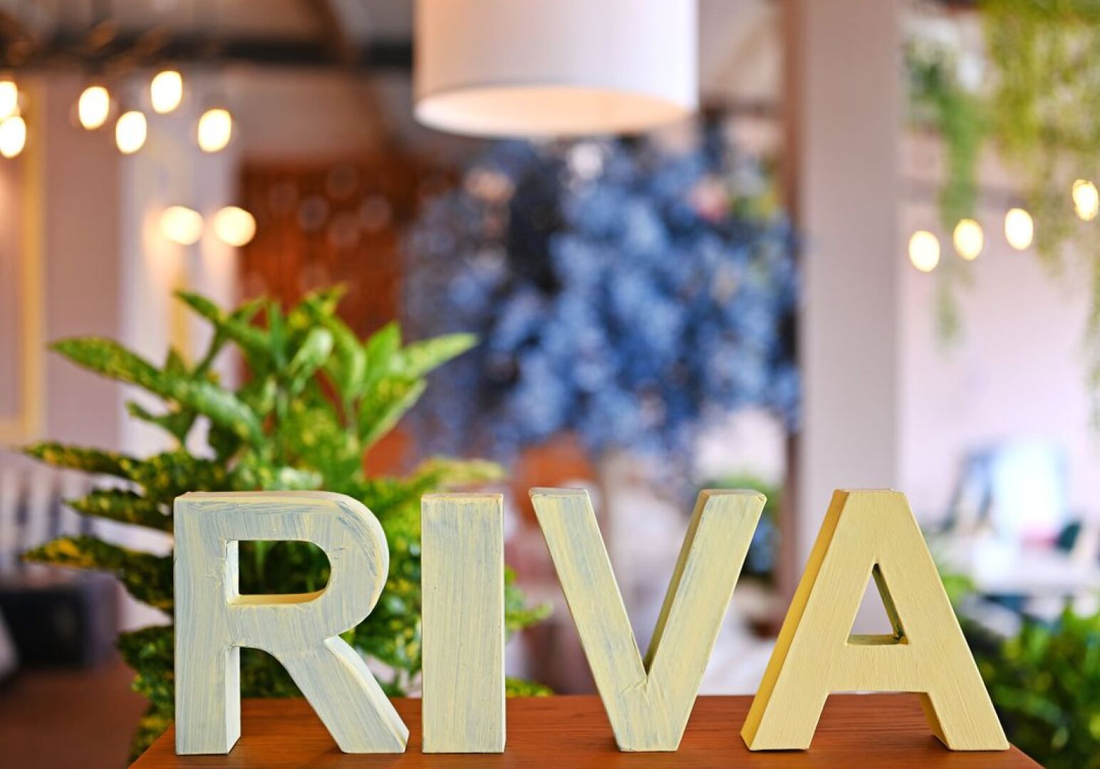 Главна галерия