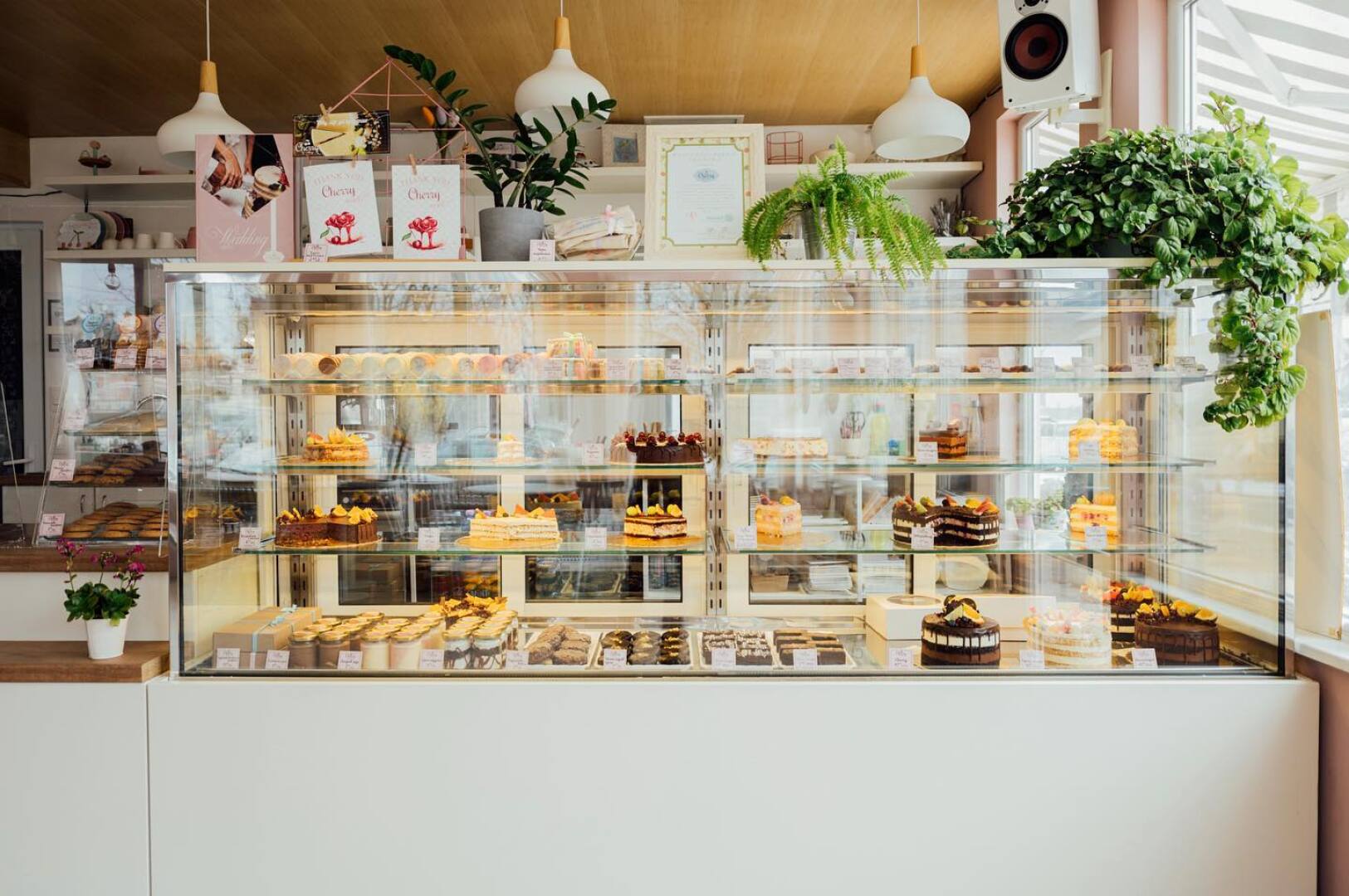 Главна галерия