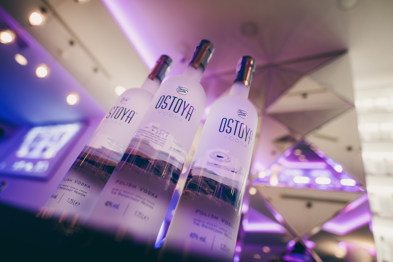 Главна галерия