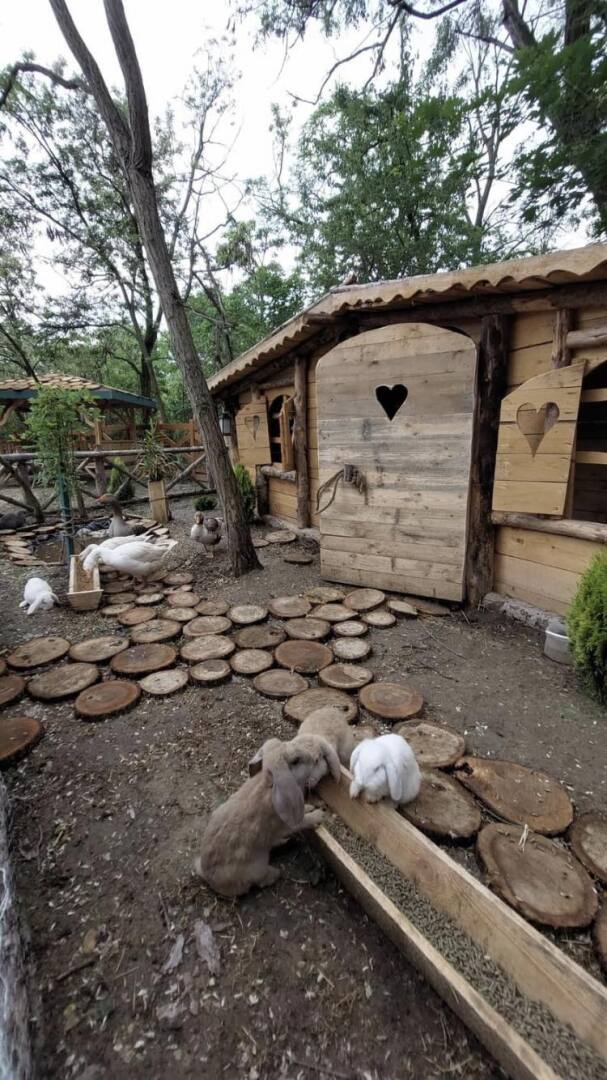 Главна галерия