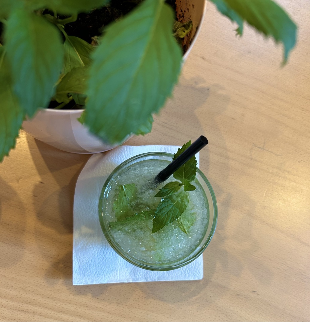 Главна галерия