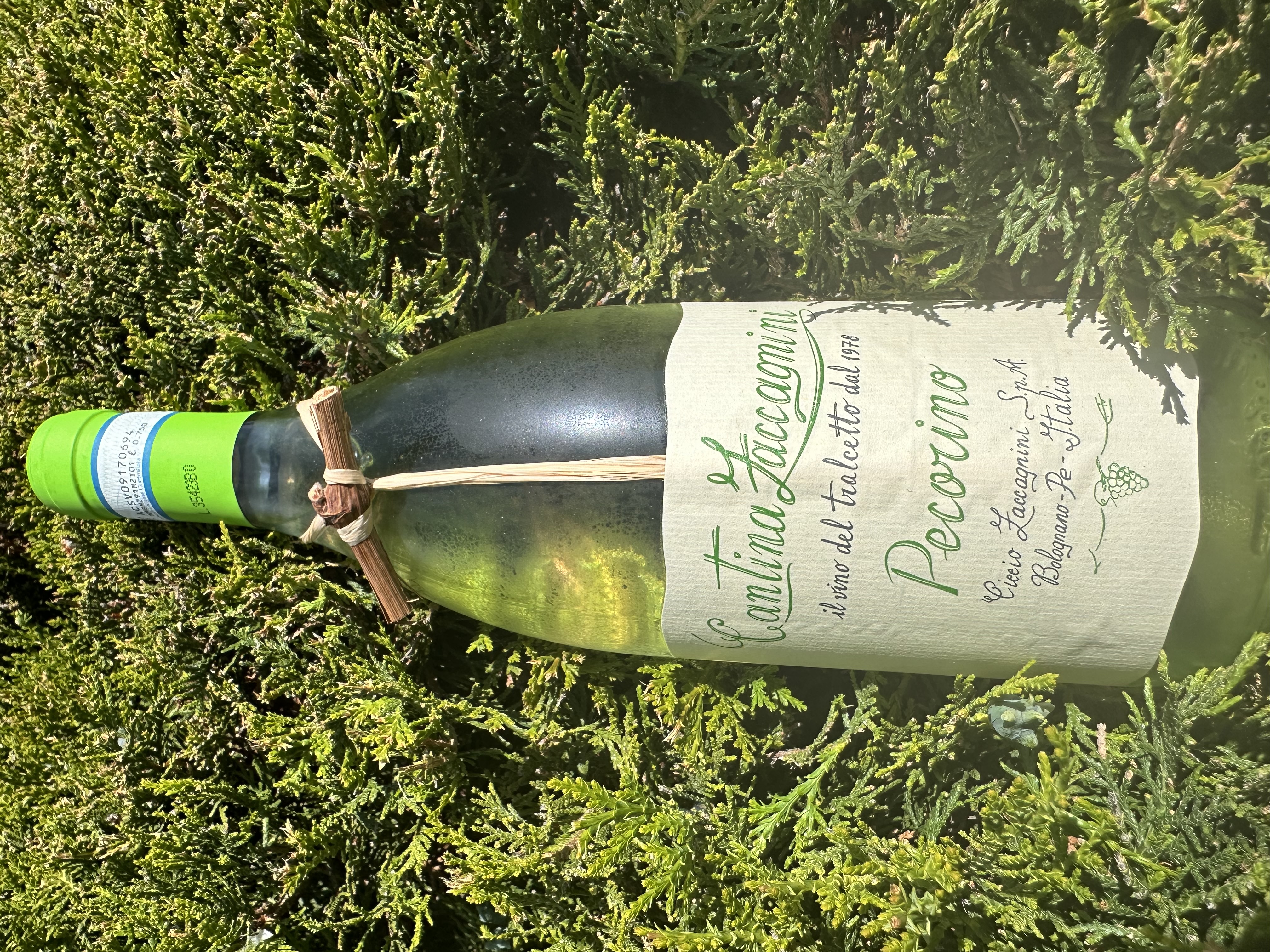 Изображението липсва