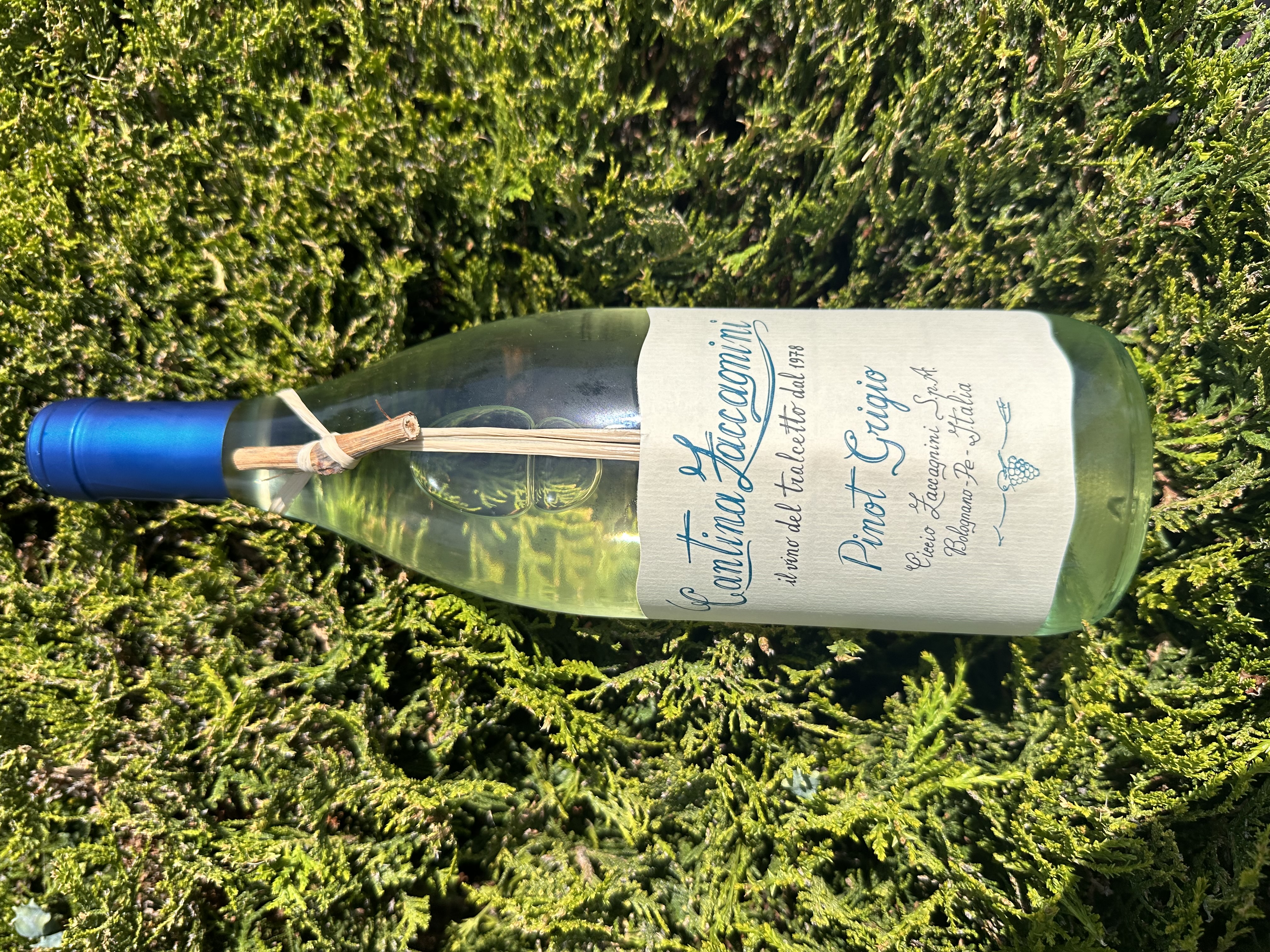 Изображението липсва