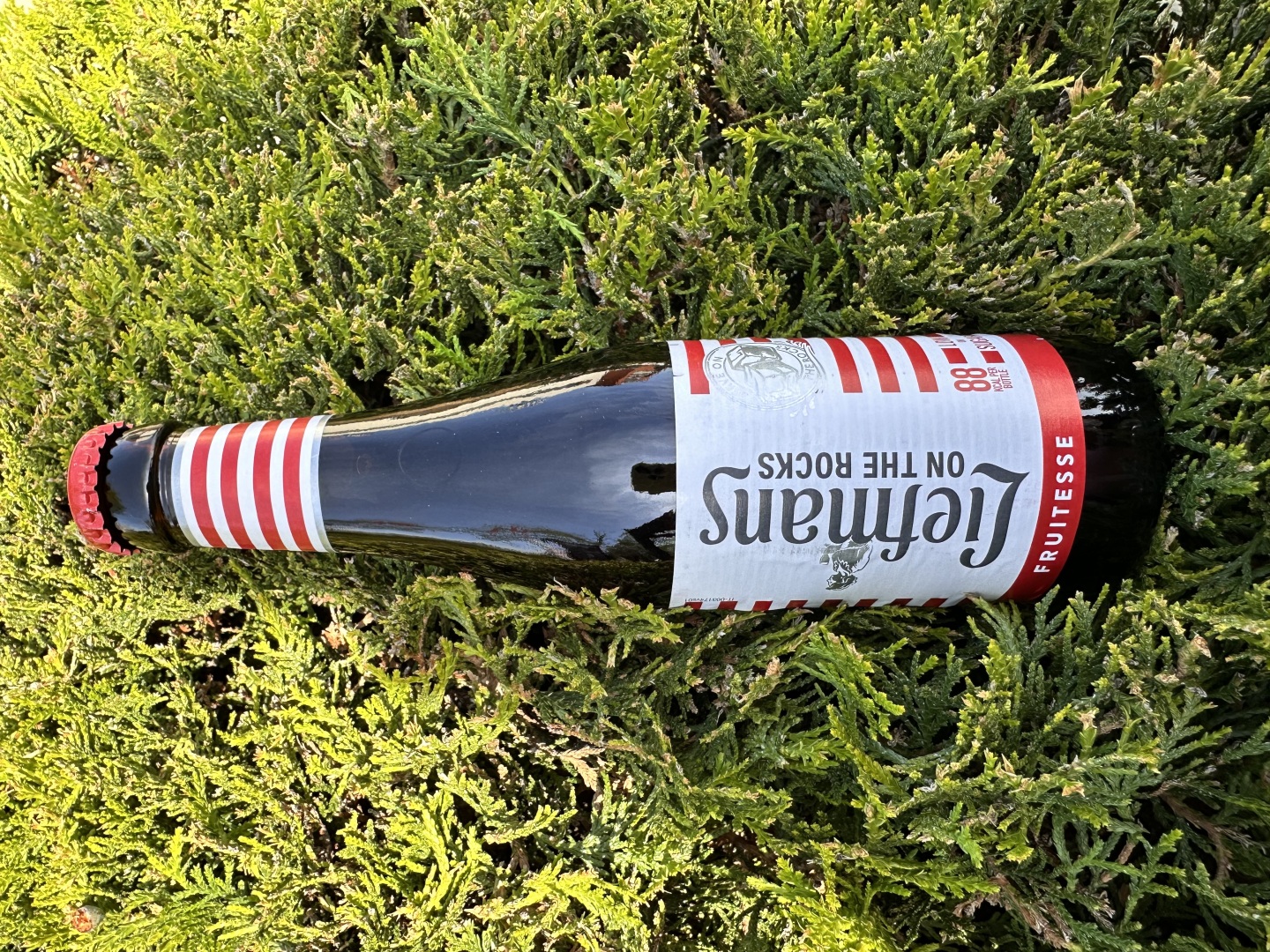 Изображението липсва