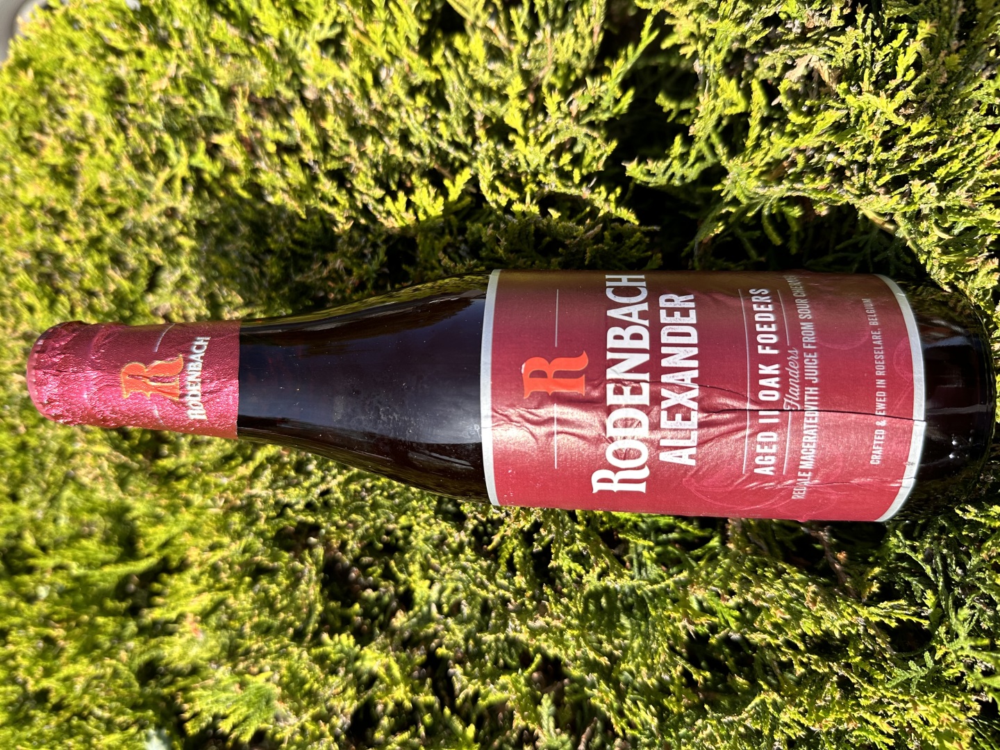 Изображението липсва