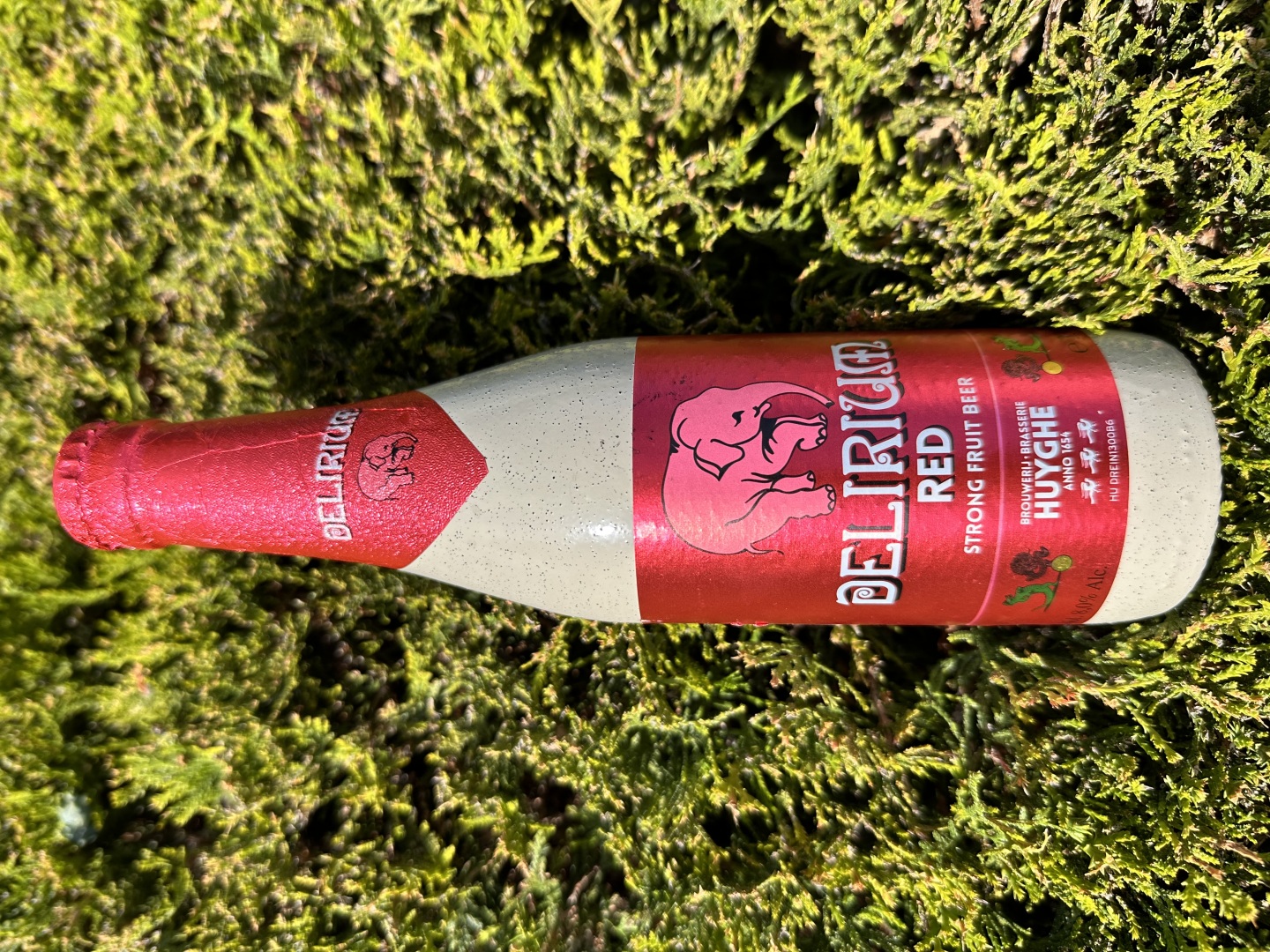 Изображението липсва