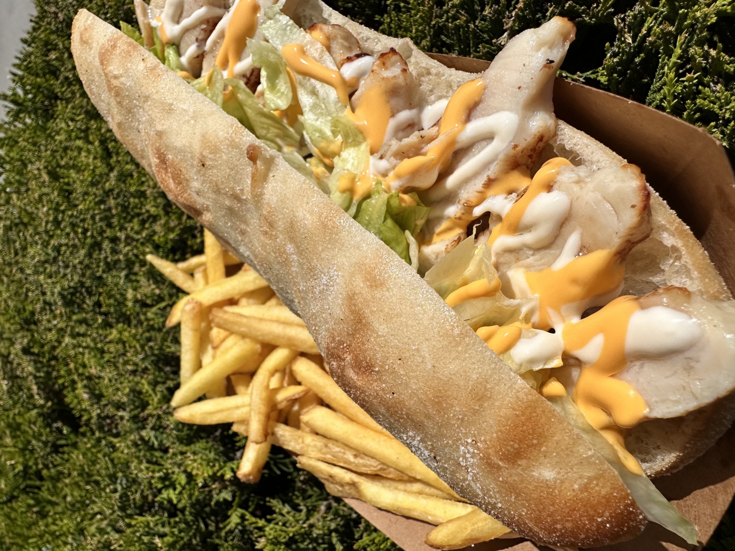 Изображението липсва