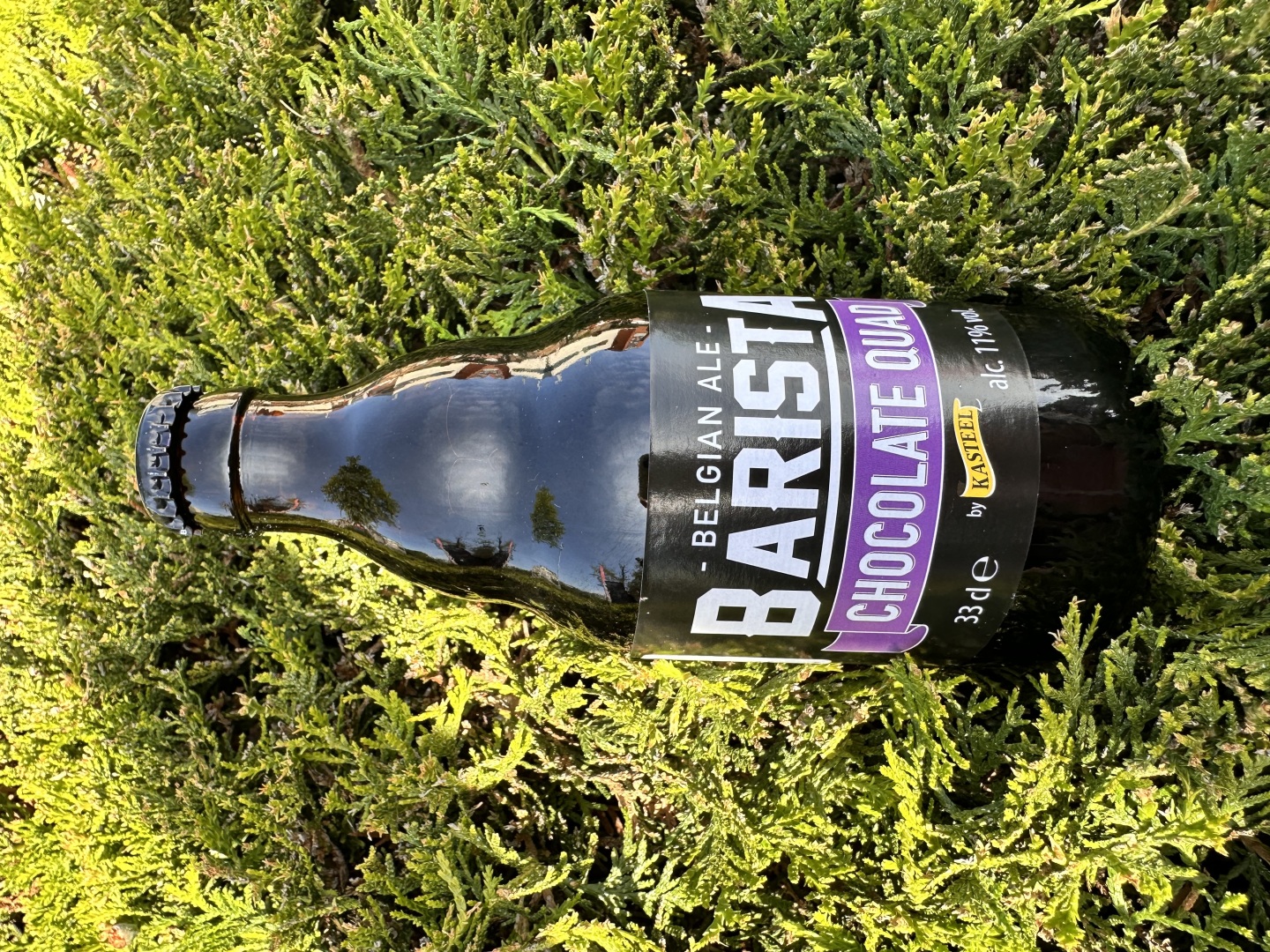 Изображението липсва